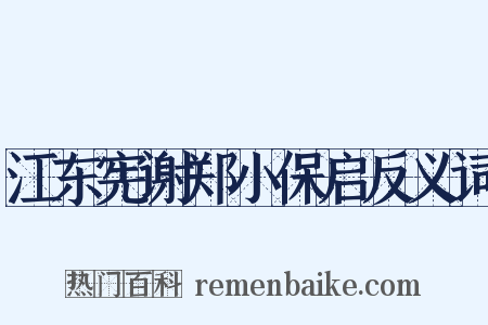 江东宪谢郑小保启反义词是什么意思的图片